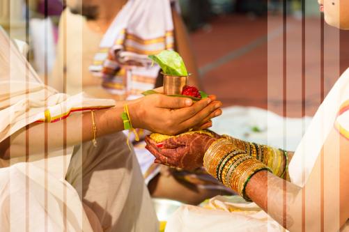 Photos by WildFramesStudio